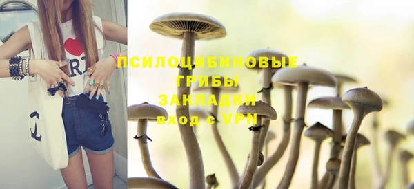 соль курить ск Алексеевка