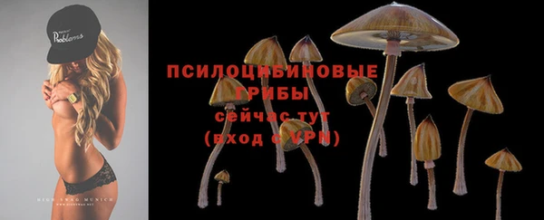 каннабис Абаза
