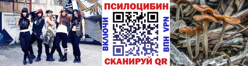 это формула  Сураж  Галлюциногенные грибы GOLDEN TEACHER  хочу   мега вход 