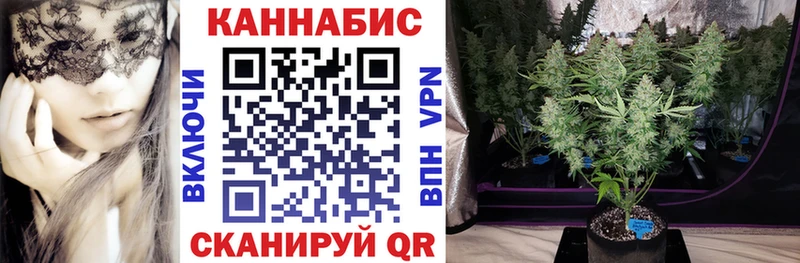 hydra   магазин продажи наркотиков  Сураж  Конопля семена 